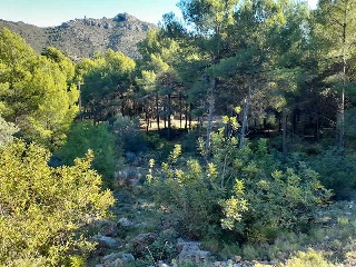 REFUGIO 3