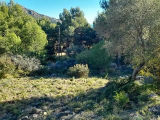 REFUGIO 4