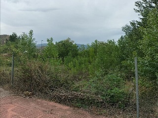 UE LA CERRADA P-51. RIO MIGUEL 5
