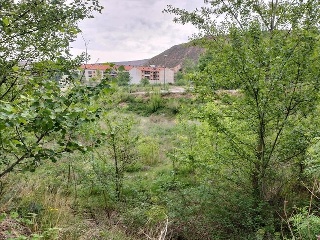 UE LA CERRADA P-51. RIO MIGUEL 7