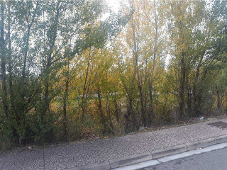 RIO MIGUEL 10