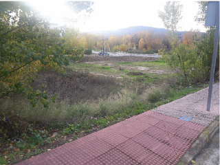 RIO MIGUEL 11