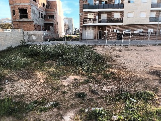 CARDENAL CISNEROS 2