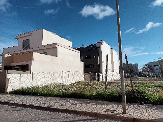 CARDENAL CISNEROS 4