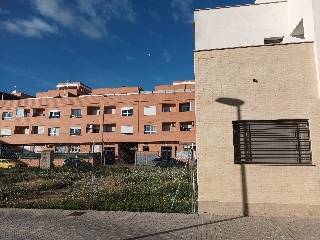 CARDENAL CISNEROS 7