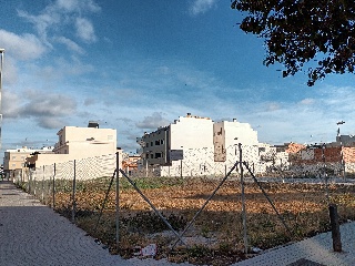 CARDENAL CISNEROS 8
