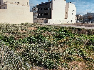 CARDENAL CISNEROS 10