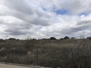 LO MESEGUER. LOS MONTESINOS 2