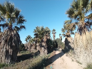 LO MESEGUER. LOS MONTESINOS 4