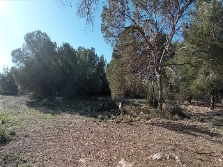 LO MESEGUER. LOS MONTESINOS 5