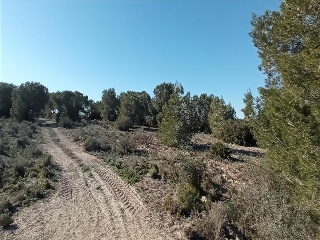 LO MESEGUER. LOS MONTESINOS 6