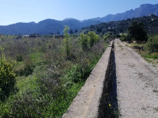 Pisos banco Llaurí
