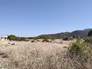 PARAJE PLA DE GORRA O CAMBRILS, POLIG 7 2