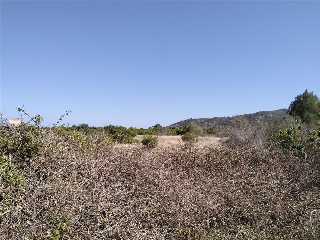 PARAJE PLA DE GORRA O CAMBRILS, POLIG 7 3