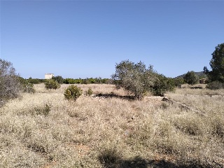 PARAJE PLA DE GORRA O CAMBRILS, POLIG 7 4