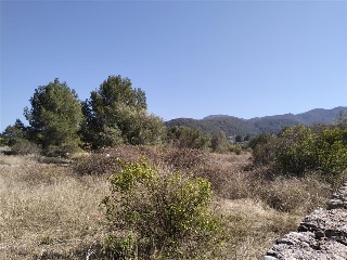 PARAJE PLA DE GORRA O CAMBRILS, POLIG 7 5
