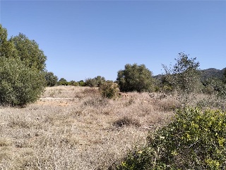 PARAJE PLA DE GORRA O CAMBRILS, POLIG 7 6