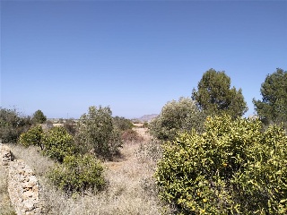 PARAJE PLA DE GORRA O CAMBRILS, POLIG 7 8