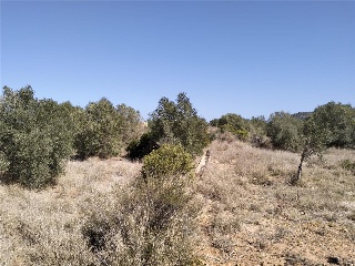 PARAJE PLA DE GORRA O CAMBRILS, POLIG 7 9