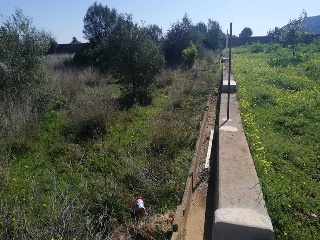PARAJE PLA DE GORRA O CAMBRILS, POLIG 7 10