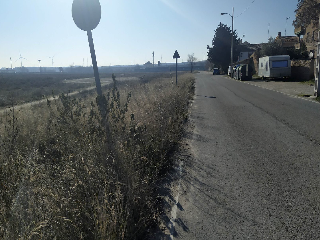 Lugar. SECTOR SUZ LC/2 - CARTUJA BAJA 0 3