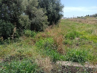 Partida FINELLO 2