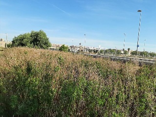 Partida FINELLO 6