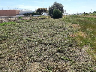 Partida FINELLO 8