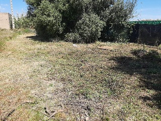 Partida FINELLO 10