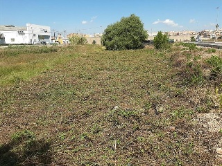 Partida FINELLO 11