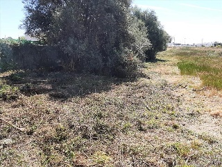 Partida FINELLO 13