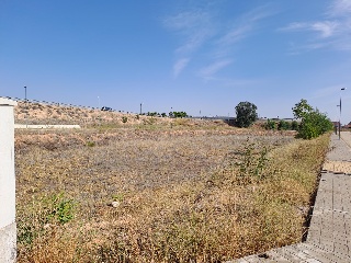 PUERTOLLANO 8