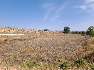 PUERTOLLANO 10