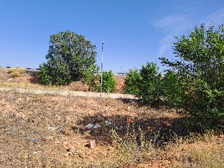 PUERTOLLANO 13