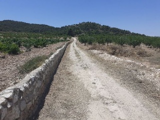 PARAJE SOPAIRE Y CAÑADA DE LA LEÑA. POL.3 - PARC. 2223 3
