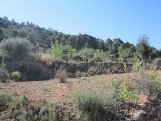 PARAJE SOPAIRE Y CAÑADA DE LA LEÑA. POL.3 - PARC. 2223 11