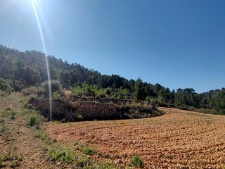 PARAJE SOPAIRE Y CAÑADA DE LA LEÑA. POL.3 - PARC. 2223 14