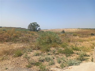 PP-OE-R5 8
