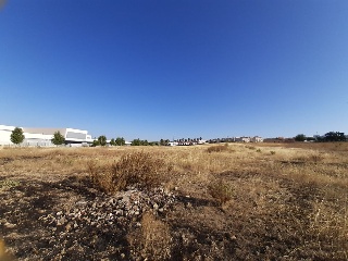 PP-OE-R5 13