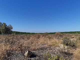 PP-OE-R5 16