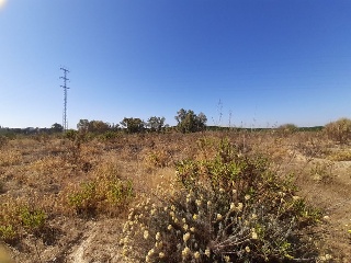 PP-OE-R5 17
