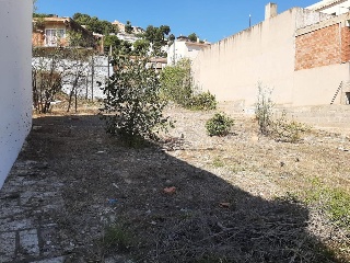 Avd. Sagunt 12