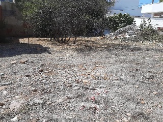 Avd. Sagunt 14