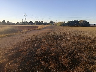 SANTA ANA 6