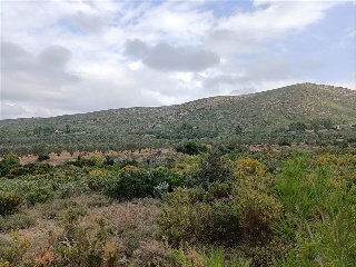 HOYA REDONDA,POL 17 PARC2 3