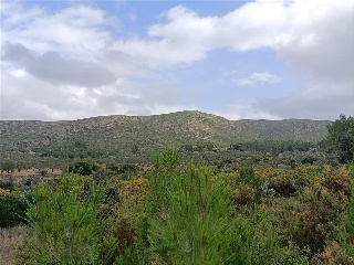 HOYA REDONDA,POL 17 PARC2 4