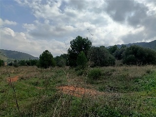 HOYA REDONDA,POL 17 PARC2 5