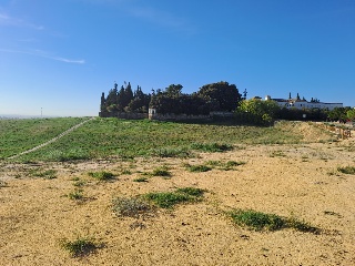 FINC DIVINA PASTORA. PARAJE MONTELIRIO POLR 1 PRC 2