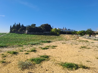 FINC DIVINA PASTORA. PARAJE MONTELIRIO POLR 1 PRC 3