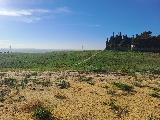 FINC DIVINA PASTORA. PARAJE MONTELIRIO POLR 1 PRC 4